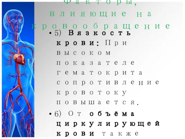 Факторы, влияющие на кровообращение 5) Вязкость крови: При высоком показателе гематокрита