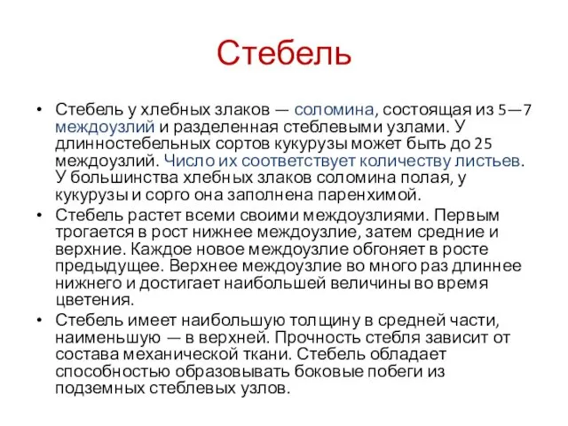 Стебель Стебель у хлебных злаков — соломина, состоящая из 5—7 междоузлий