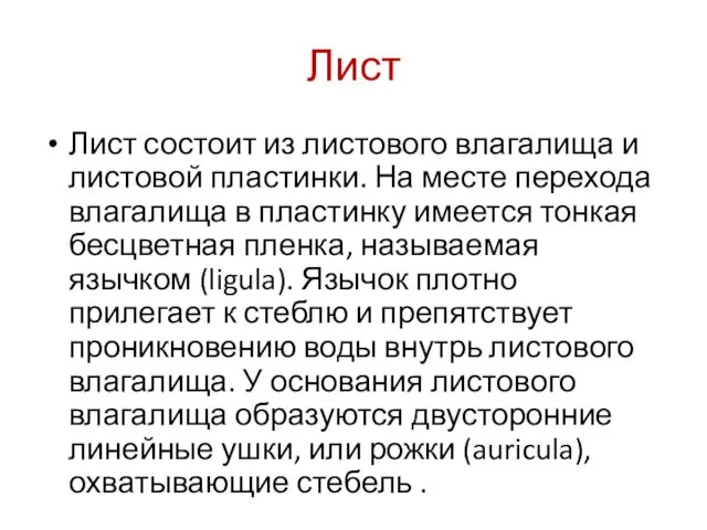 Лист Лист состоит из листового влагалища и листовой пластинки. На месте