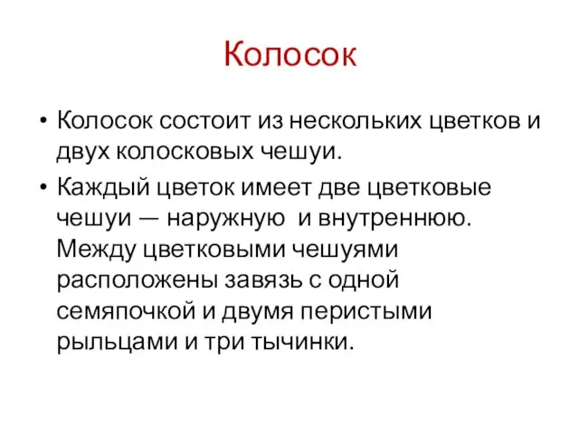 Колосок Колосок состоит из нескольких цветков и двух колосковых чешуи. Каждый