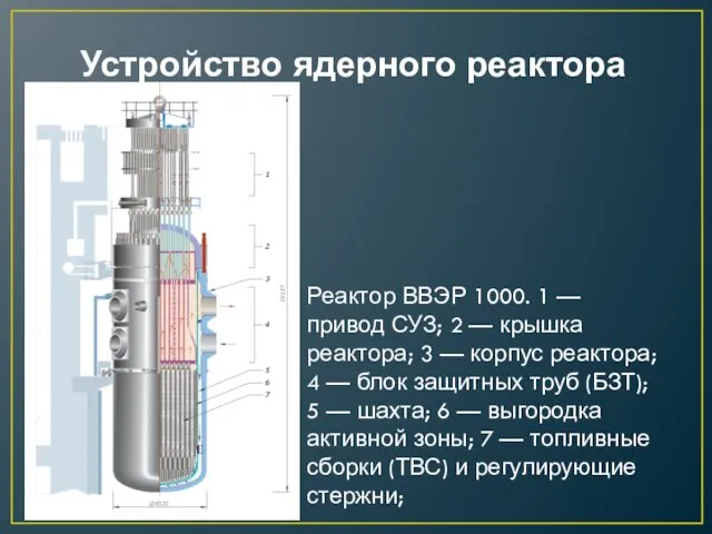 Устройство ядерного реактора Реактор ВВЭР 1000. 1 — привод СУЗ; 2