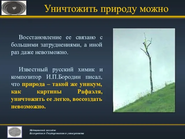 Уничтожить природу можно Восстановление ее связано с большими затруднениями, а иной