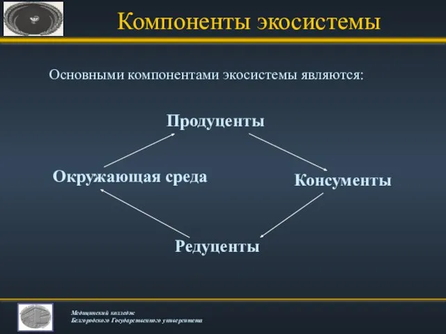 Компоненты экосистемы Основными компонентами экосистемы являются: Продуценты Окружающая среда Консументы Редуценты