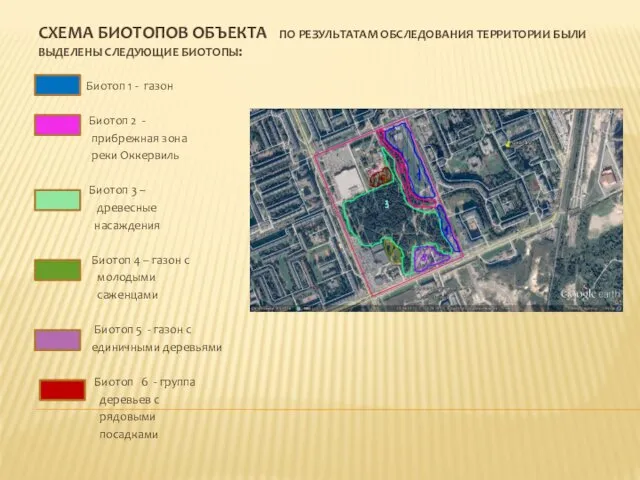 СХЕМА БИОТОПОВ ОБЪЕКТА ПО РЕЗУЛЬТАТАМ ОБСЛЕДОВАНИЯ ТЕРРИТОРИИ БЫЛИ ВЫДЕЛЕНЫ СЛЕДУЮЩИЕ БИОТОПЫ: