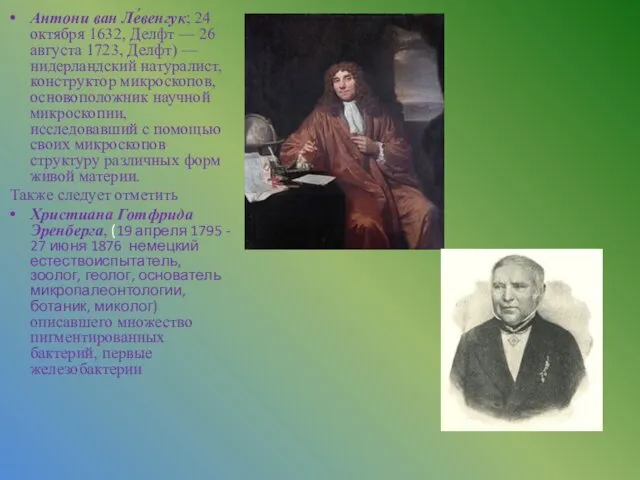 Антони ван Ле́венгук; 24 октября 1632, Делфт — 26 августа 1723,