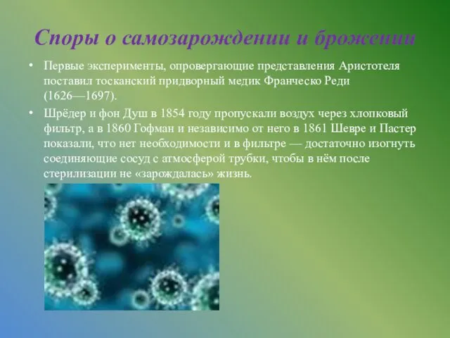 Споры о самозарождении и брожении Первые эксперименты, опровергающие представления Аристотеля поставил
