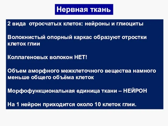 Нервная ткань 2 вида отросчатых клеток: нейроны и глиоциты Волокнистый опорный