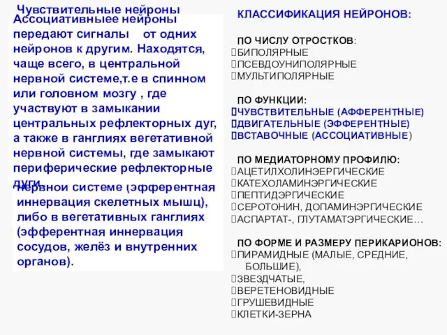 КЛАССИФИКАЦИЯ НЕЙРОНОВ: ПО ЧИСЛУ ОТРОСТКОВ: БИПОЛЯРНЫЕ ПСЕВДОУНИПОЛЯРНЫЕ МУЛЬТИПОЛЯРНЫЕ ПО ФУНКЦИИ: ЧУВСТВИТЕЛЬНЫЕ