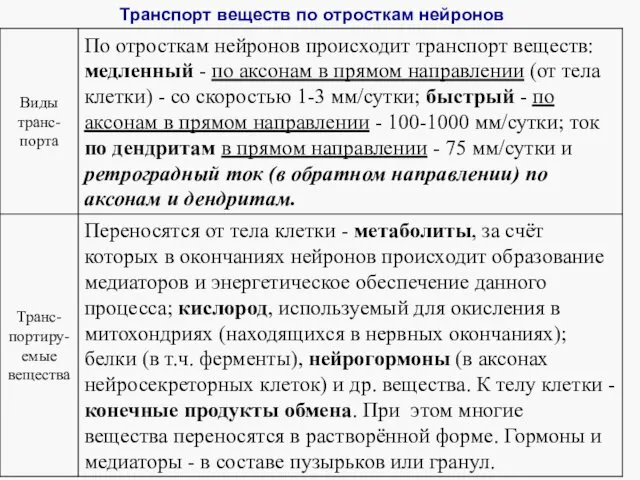 Транспорт веществ по отросткам нейронов