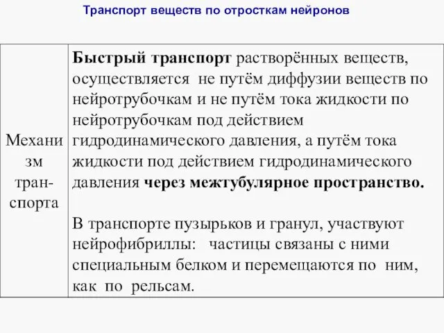 Транспорт веществ по отросткам нейронов