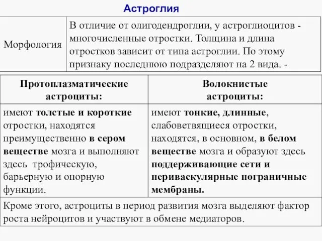 Астроглия