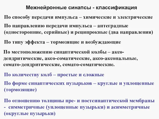 Межнейронные синапсы - классификация По способу передачи импульса – химические и