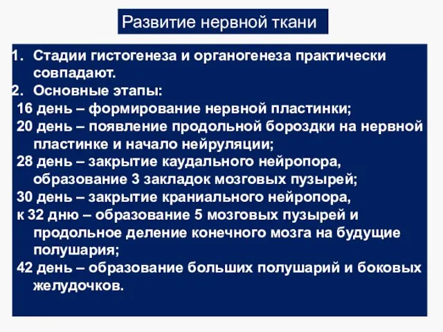 Развитие нервной ткани Стадии гистогенеза и органогенеза практически совпадают. Основные этапы: