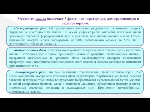 Инспираторная фаза. Ей предшествует кашлевое раздражение, за которым следует ощущение в