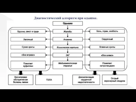 Диагностический алгоритм при одышке.