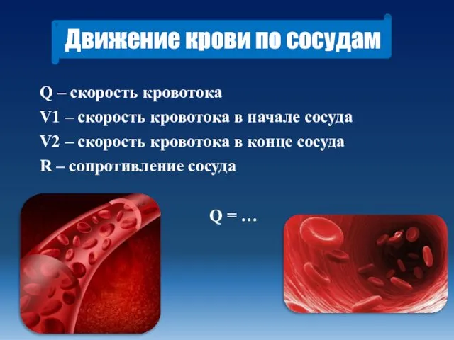 Движение крови по сосудам Q – скорость кровотока V1 – скорость