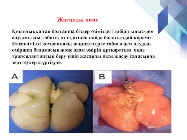 Қиындыққа тап болғанша біздер өзіміздегі әрбір тыныс-дем алуымызды табиғи, өз-өздігінен пайда