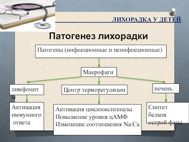 Патогенез лихорадки ЛИХОРАДКА У ДЕТЕЙ Патогены (инфекционные и неинфекционные) Макрофаги лимфоциты