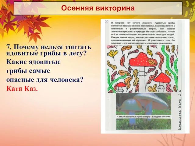 Осенняя викторина 7. Почему нельзя топтать ядовитые грибы в лесу? Какие