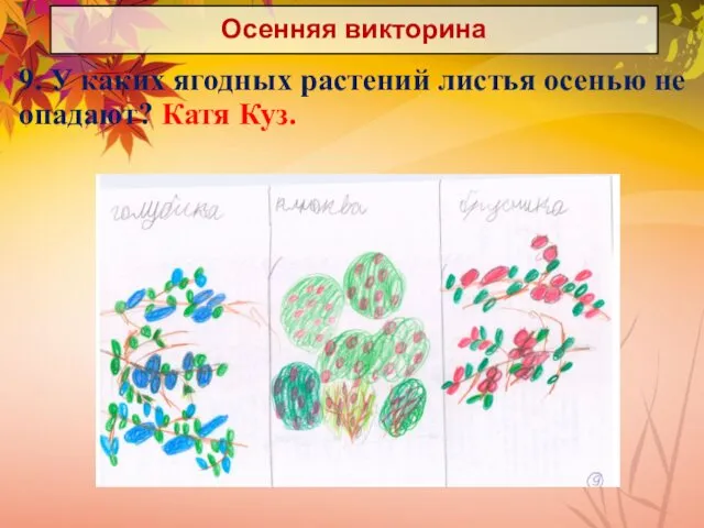 Осенняя викторина 9. У каких ягодных растений листья осенью не опадают? Катя Куз.