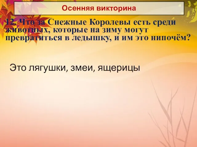 Осенняя викторина 12. Что за Снежные Королевы есть среди животных, которые