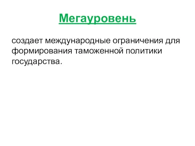 Мегауровень создает международные ограничения для формирования таможенной политики государства.