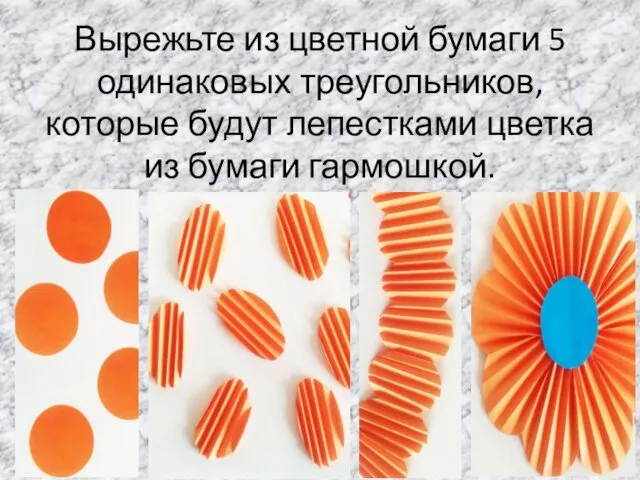 Вырежьте из цветной бумаги 5 одинаковых треугольников, которые будут лепестками цветка из бумаги гармошкой.