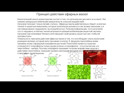 Принцип действия эфирных масел Биологический смысл ароматерапии состоит в том, что