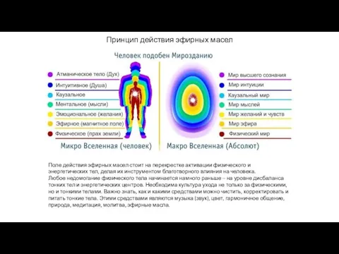 Принцип действия эфирных масел Поле действия эфирных масел стоит на перекрестке