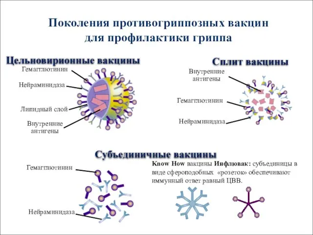 Цельновирионные вакцины Сплит вакцины Субъединичные вакцины Поколения противогриппозных вакцин для профилактики гриппа