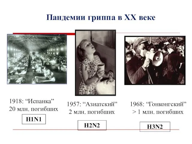 Пандемии гриппа в ХХ веке H1N1 H2N2 H3N2 1918: “Испанка” 20