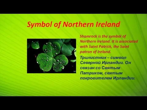 Symbol of Northern Ireland Shamrock is the symbol of Northern Ireland.