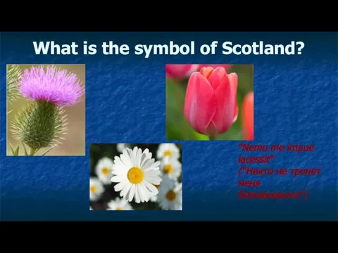 What is the symbol of Scotland? "Nemo me impue lacessit" (''Никто не тронет меня безнаказанно'')