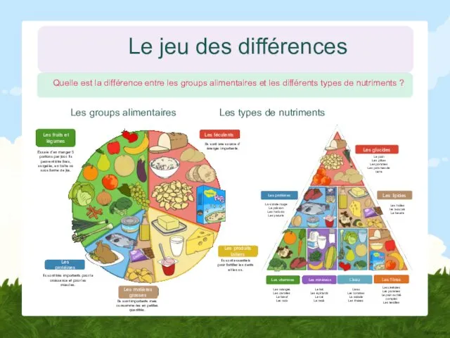 Le jeu des différences Les groups alimentaires Les types de nutriments