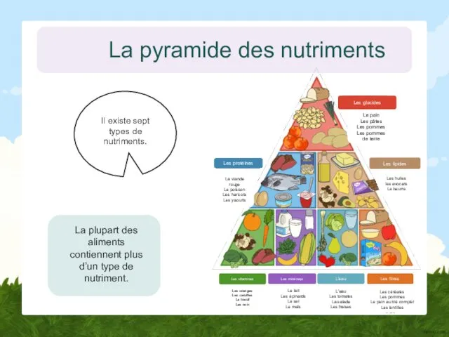 La pyramide des nutriments Il existe sept types de nutriments. La