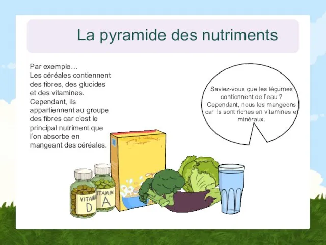 La pyramide des nutriments Par exemple… Les céréales contiennent des fibres,