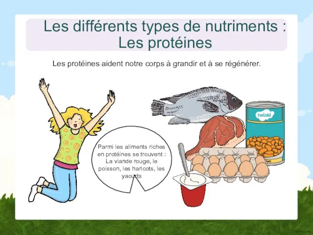 Les différents types de nutriments : Les protéines Les protéines aident