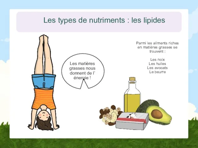 Les types de nutriments : les lipides Les matières grasses nous