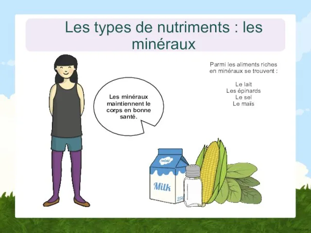 Les types de nutriments : les minéraux Les minéraux maintiennent le