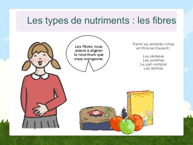 Les types de nutriments : les fibres Les fibres nous aident