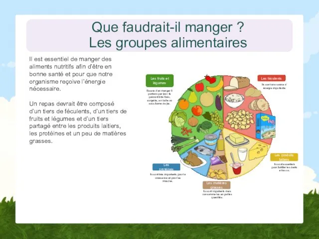 Que faudrait-il manger ? Les groupes alimentaires Il est essentiel de