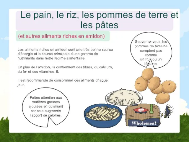 Le pain, le riz, les pommes de terre et les pâtes