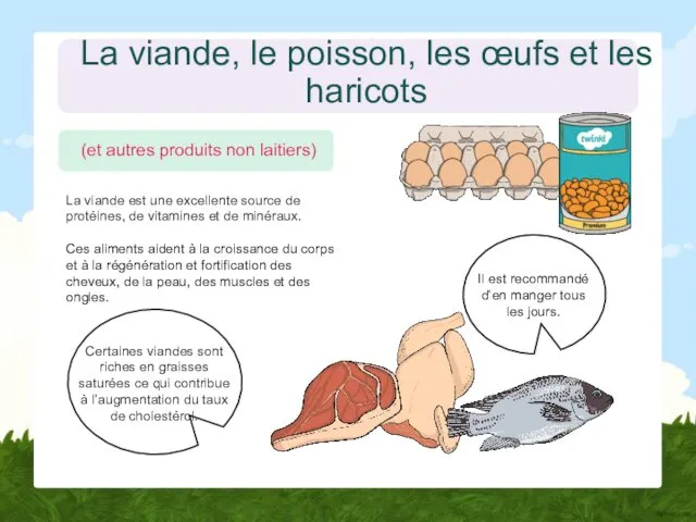 La viande, le poisson, les œufs et les haricots La viande