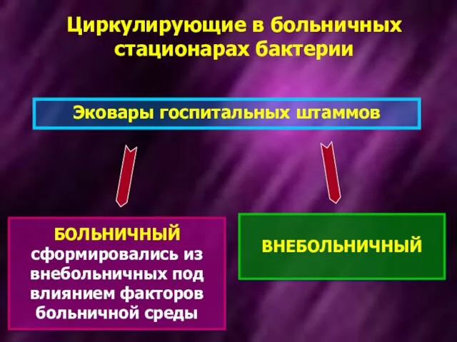 БОЛЬНИЧНЫЙ сформировались из внебольничных под влиянием факторов больничной среды ВНЕБОЛЬНИЧНЫЙ Эковары