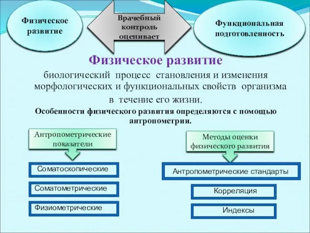 Физическое развитие биологический процесс становления и изменения морфологических и функциональных свойств