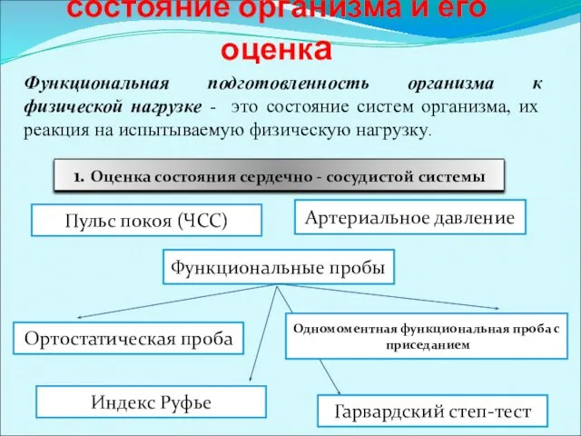 Функциональное состояние организма и его оценка Функциональная подготовленность организма к физической