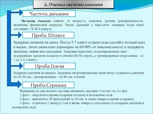 2. Оценка системы дыхания Частота дыхания Проба Штанге Проба Генчи Проба