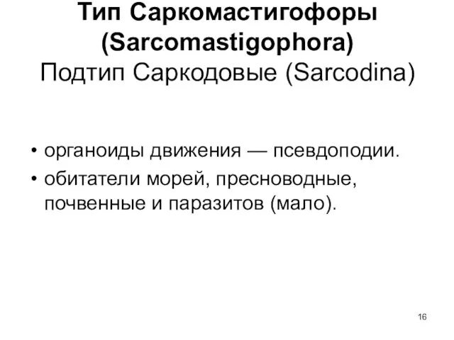 Тип Саркомастигофоры (Sarcomastigophora) Подтип Саркодовые (Sarcodina) органоиды движения — псевдоподии. обитатели