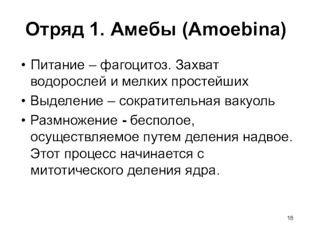 Отряд 1. Амебы (Amoebina) Питание – фагоцитоз. Захват водорослей и мелких