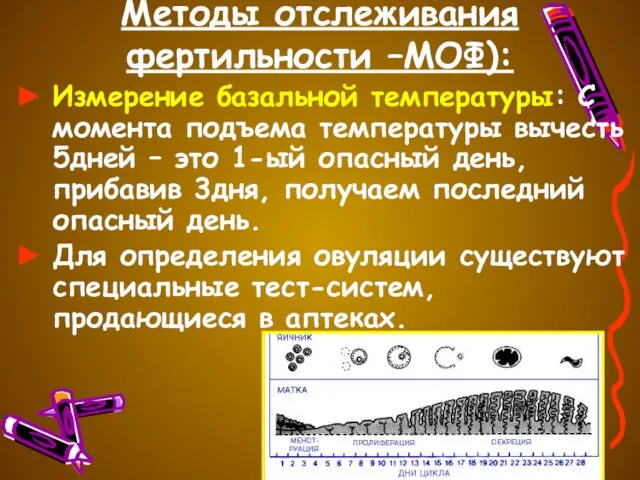 Методы отслеживания фертильности –МОФ): Измерение базальной температуры: С момента подъема температуры